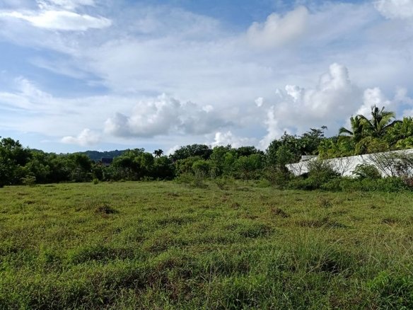 SPL006 Tanode Land 5